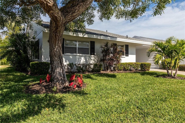 ranch-style house featuring stucco siding and a front yard