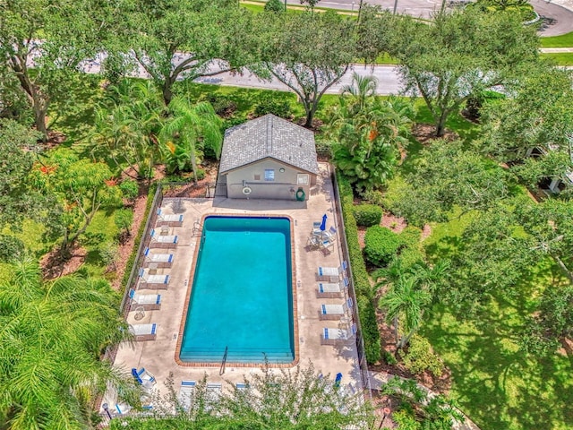 view of swimming pool