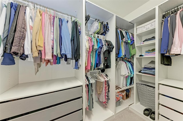 view of spacious closet