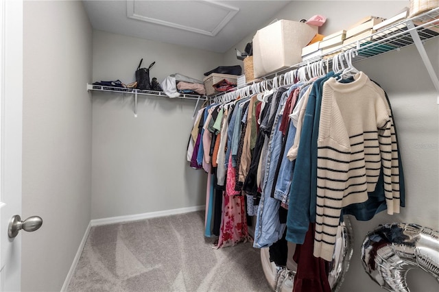 walk in closet with carpet flooring