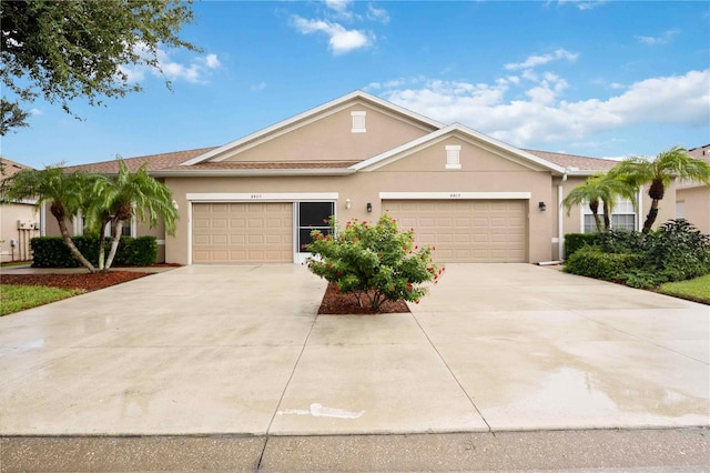 ranch-style home featuring concrete driveway and stucco siding