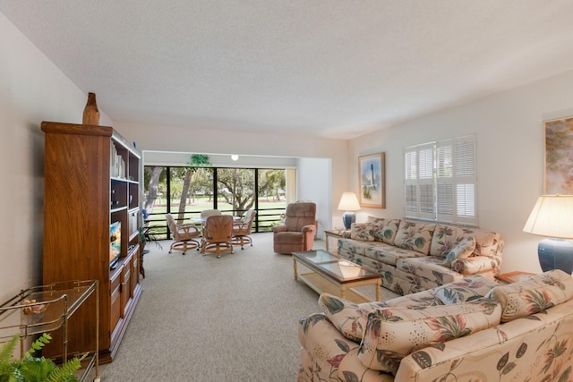 carpeted living room featuring a textured ceiling