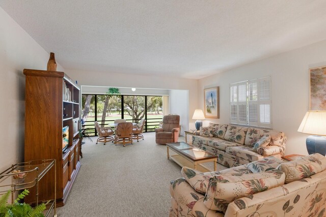 3500 El Conquistador Pkwy Unit 238, Bradenton, FL 34210 - living room featuring carpet flooring