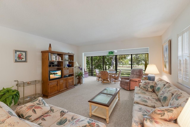 living room featuring light carpet