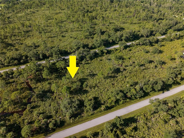 13211 Chiminiello Dr, Port Charlotte FL, 33953 land for sale