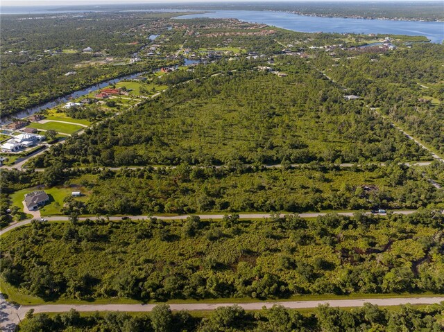 13211 Chiminiello Dr, Port Charlotte, FL 33953