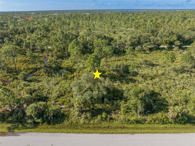 13211 Chiminiello Dr, Port Charlotte, FL 33953