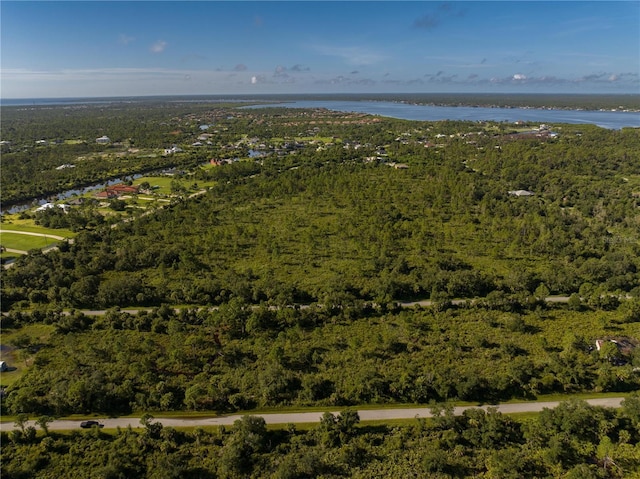 13211 Chiminiello Dr, Port Charlotte, FL 33953