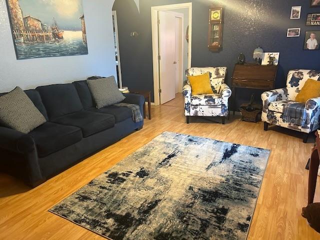 living room featuring wood-type flooring