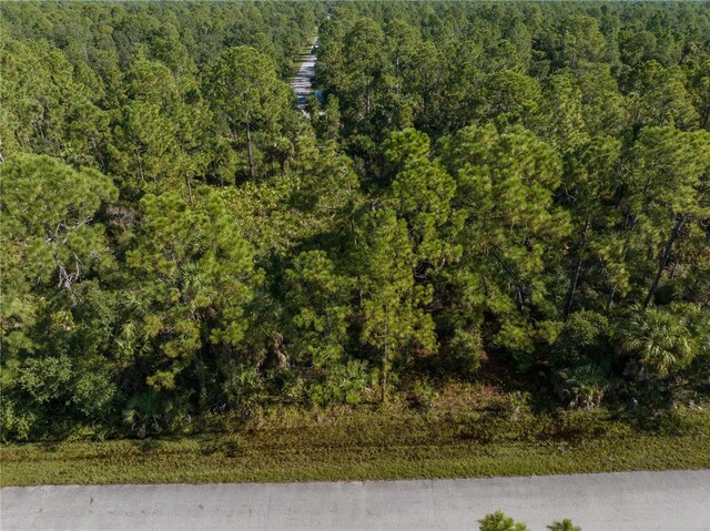 14142 Dunlap Ave, Port Charlotte, FL 33953