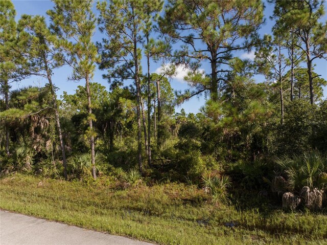 14142 Dunlap Ave, Port Charlotte, FL 33953