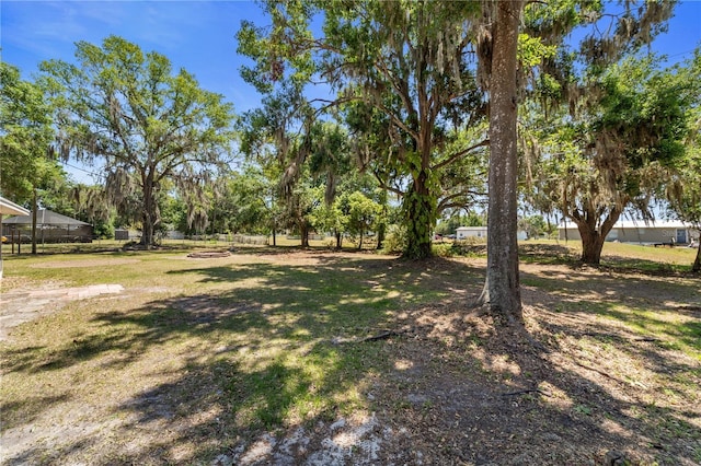 3240 Flamingo Ln, Mulberry, FL 33860 - view of yard