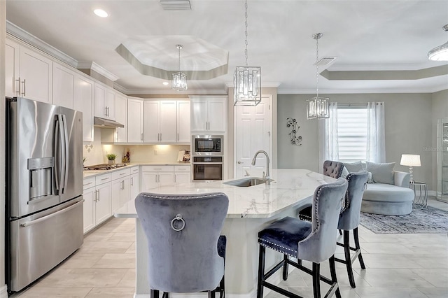 kitchen with a raised ceiling, stainless steel appliances, sink, and a kitchen island with sink