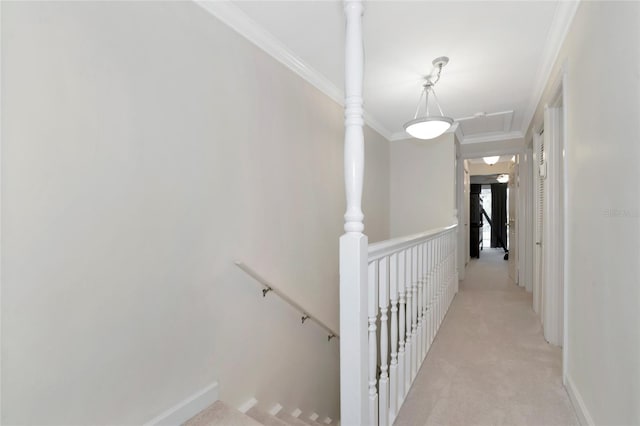 corridor with light colored carpet and ornamental molding