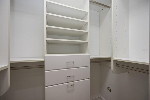 view of spacious closet