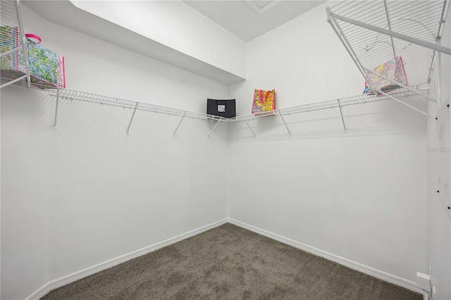 walk in closet with carpet