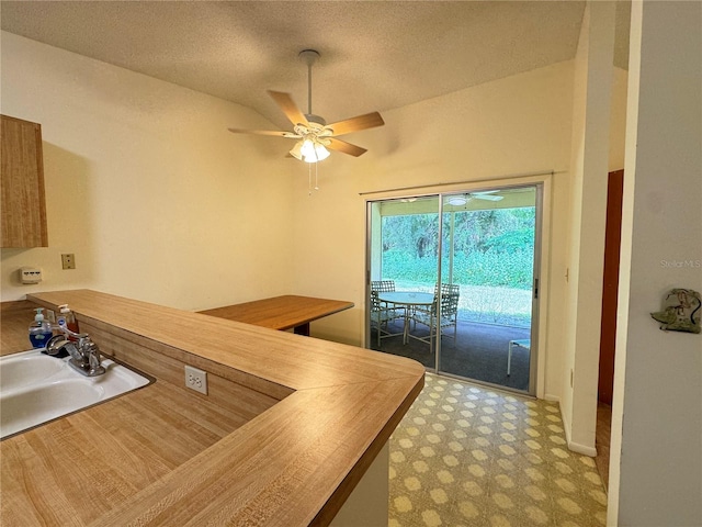 kitchen with a textured ceiling, sink, lofted ceiling, carpet, and ceiling fan