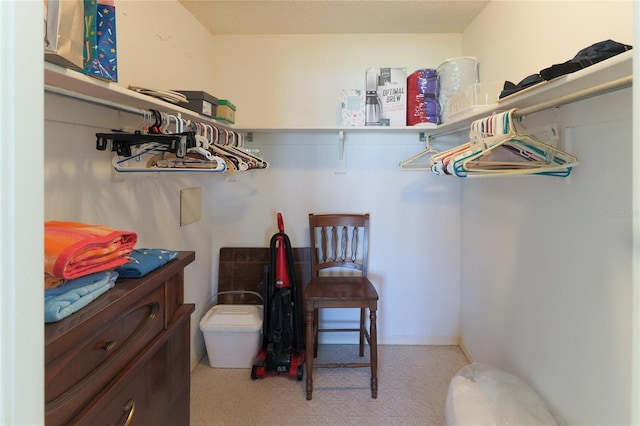 view of spacious closet