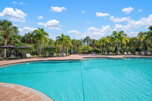 view of pool