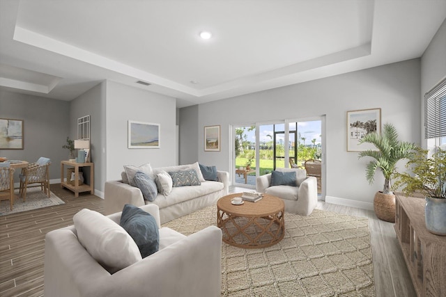 living room featuring a raised ceiling and wood-type flooring