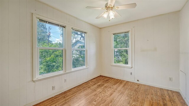 empty room with light wood-type flooring, ceiling fan, wooden walls, and crown molding