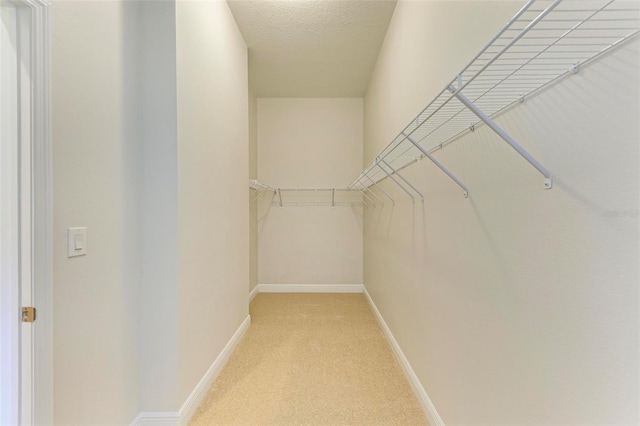 walk in closet featuring light colored carpet