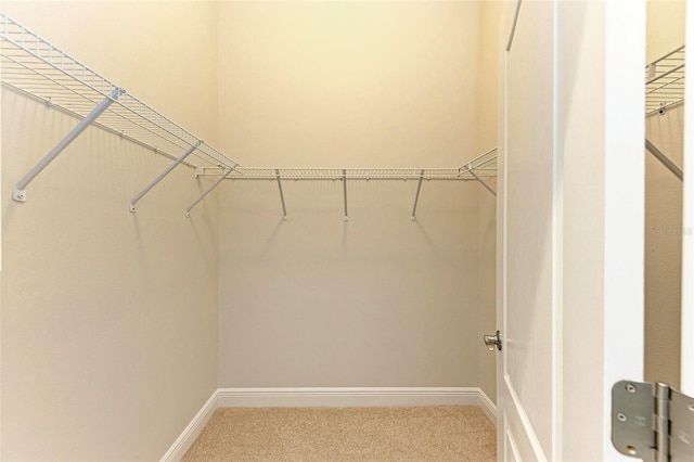 walk in closet featuring carpet flooring