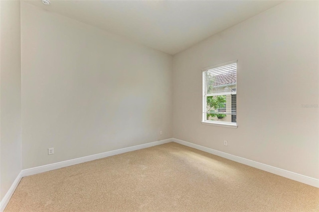 empty room featuring carpet