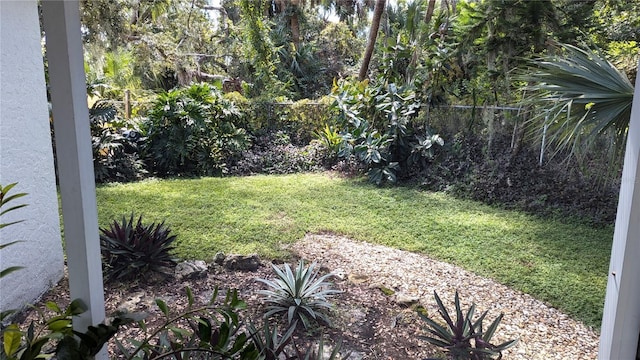 view of yard