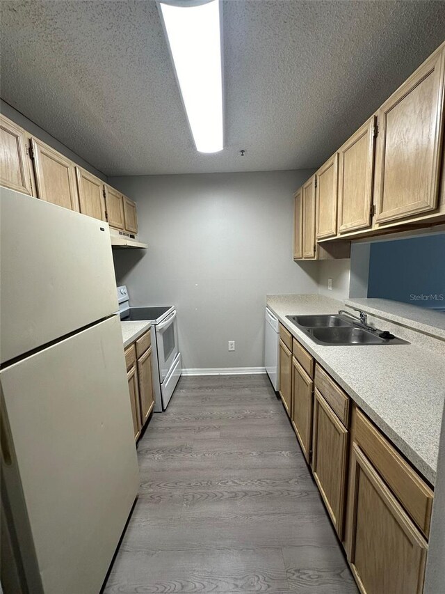 kitchen featuring a textured ceiling, white appliances, light brown cabinetry, sink, and light hardwood / wood-style floors