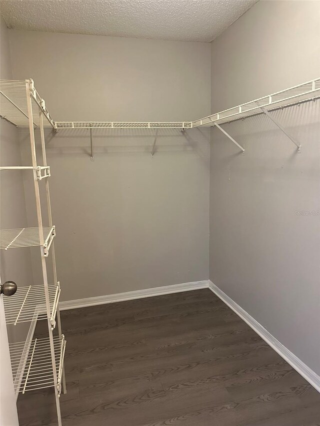 spacious closet featuring dark hardwood / wood-style floors