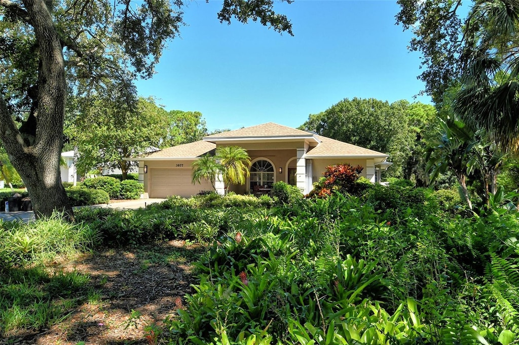 view of front of home with an attached garage, concrete driveway, and stucco siding