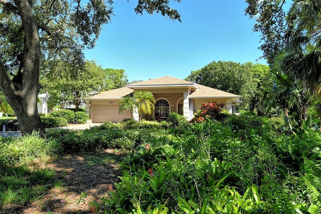 view of front of home with an attached garage, concrete driveway, and stucco siding