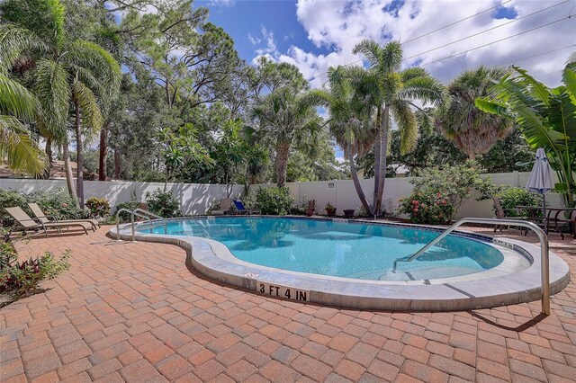 view of pool featuring a patio area