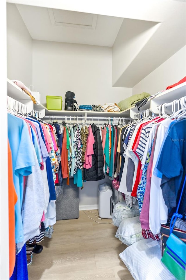 walk in closet featuring hardwood / wood-style flooring