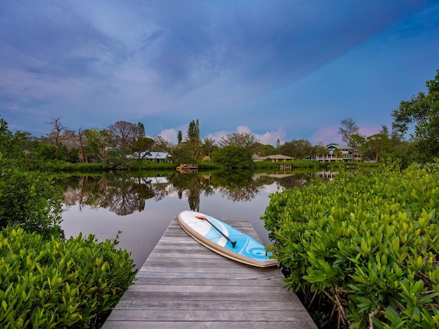 view of dock with a water view