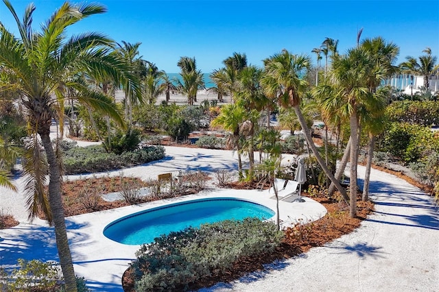 7665 Sanderling Rd, Sarasota, FL 34242 - view of swimming pool