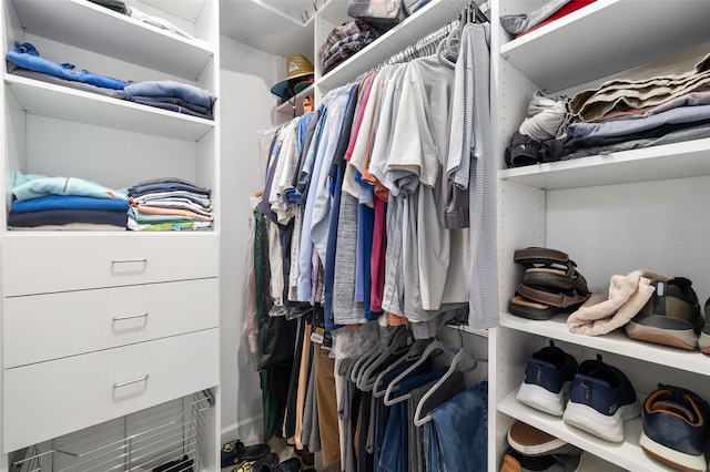 view of spacious closet