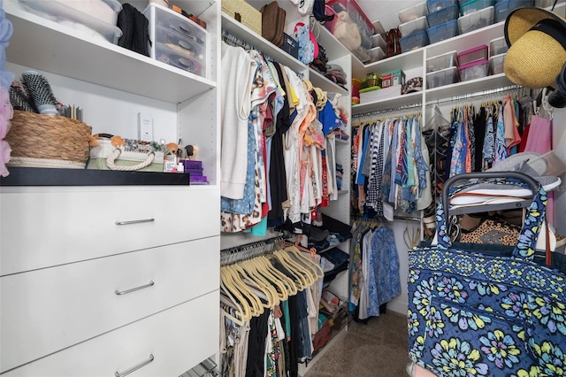 spacious closet featuring carpet flooring