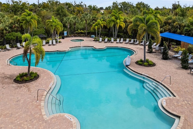 view of pool featuring a patio