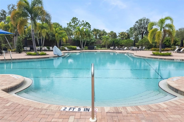 view of pool with a patio