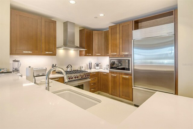 kitchen with sink, wall chimney range hood, and high quality appliances