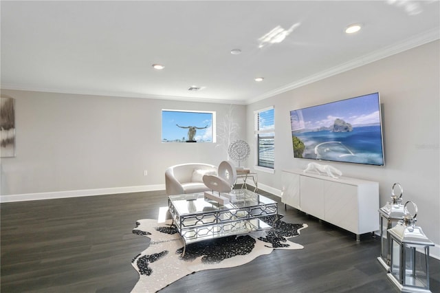 living area featuring dark hardwood / wood-style flooring and ornamental molding