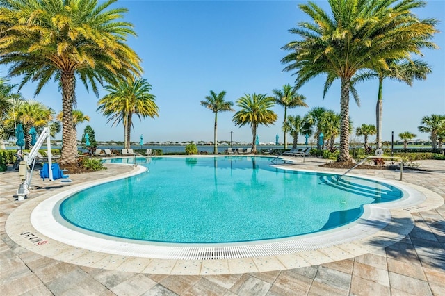 view of swimming pool with a patio