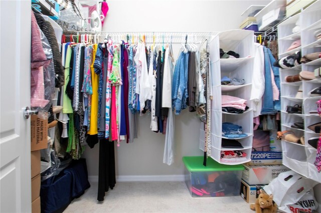 spacious closet featuring carpet