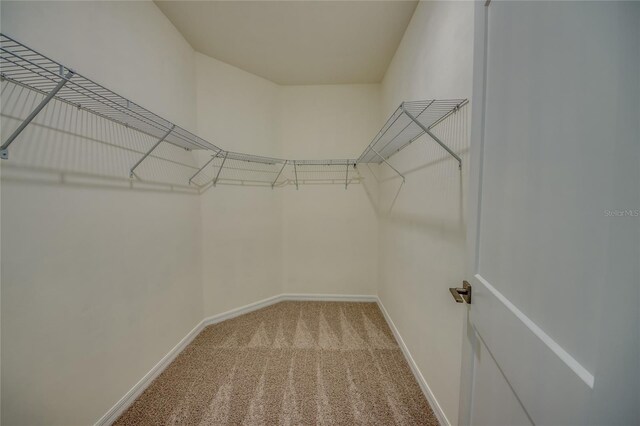 walk in closet featuring carpet