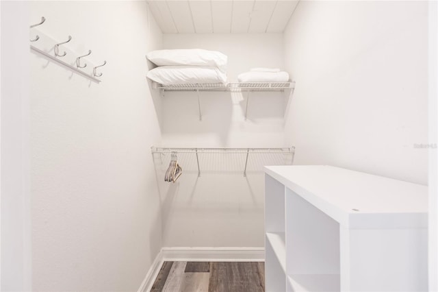 spacious closet with wood-type flooring