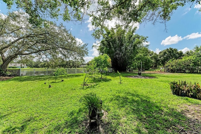 view of yard with a water view