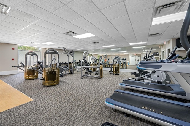 workout area featuring a drop ceiling and carpet floors