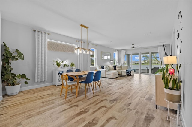 dining room featuring light wood-type flooring and ceiling fan